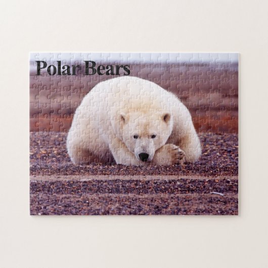 Ours polaire 7 Puzzle (Horizontal)