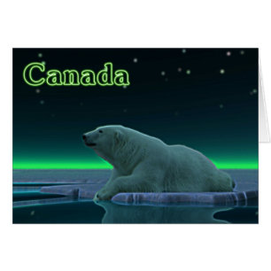 Ours polaire à bord de glace