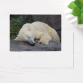 Ours polaire dormant (Bureau)