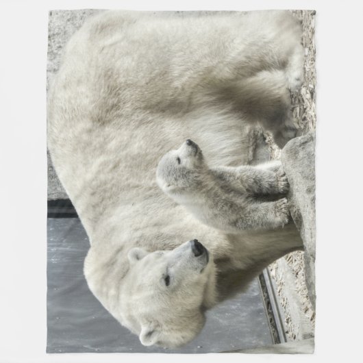 Ours polaire et couverture d'épis (Devant)