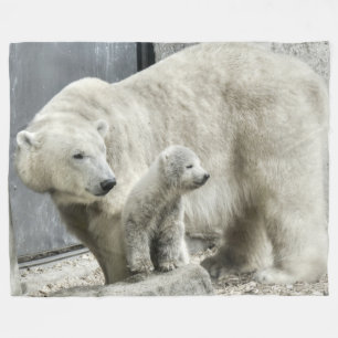 Ours polaire et couverture d'épis