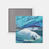 Ours polaire et glace Magnet d'art de la faune (Recto/Verso)