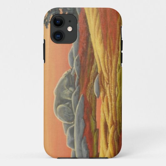 Ours polaire IPhone 5 Coque Faune Art Ours Cadeaux (Dos)