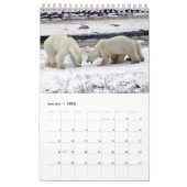 OURS POLAIRE Roi de l'Arctique Calendrier 2014 1-P (Jan 2026)