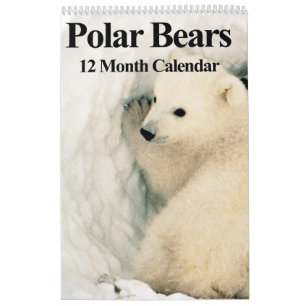 Ours polaires - Calendrier de 12 mois