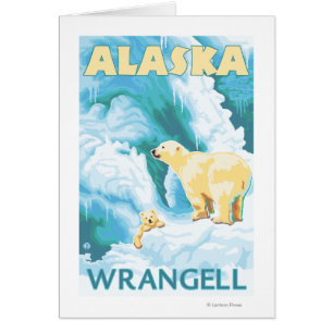Ours polaires & Cub - Wrangell, Alaska