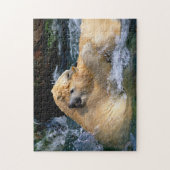 Ours polaires, Puzzle Jigsaw (Vertical)