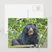 Ours Spectaculaire - Carte postale (Devant / Derrière)