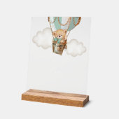 Ours Teddy, Ballotte à air chaud vert, Bar Momosa (Angle)