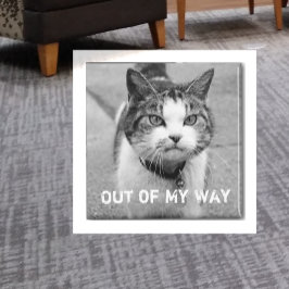 "Out of My Way" Crabby Cat Magnet Magneet