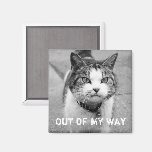 "Out of My Way" Crabby Cat Magnet Magneet (Voorkant / Achterkant)
