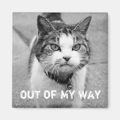 "Out of My Way" Crabby Cat Magnet Magneet (Voorkant)