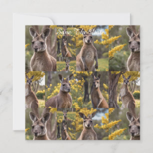 Outback Beauty: Kangoeroe en Wattle Fotocollage Save The Date