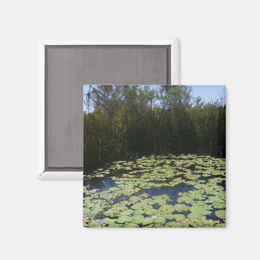 Outback Lily Pads Magnet Magneet (Voorkant / Achterkant)