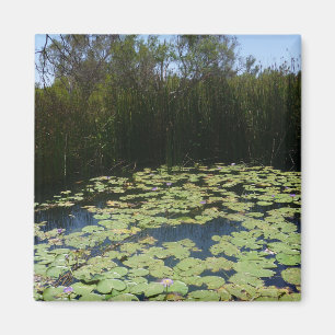 Outback Lily Pads Magnet Magneet