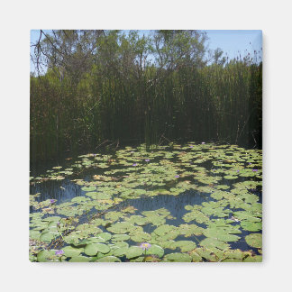 Outback Lily Pads Magnet Magneet