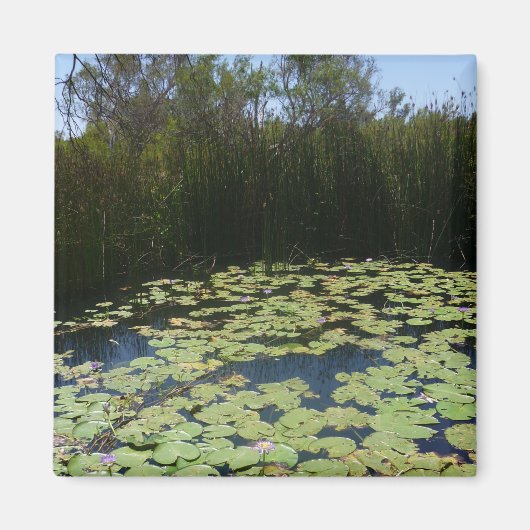 Outback Lily Pads Magnet Magneet (Voorkant)