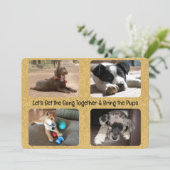 Outdoor Party Invitation Four Replaceable Photos (Debout devant)