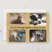 Outdoor Party Invitation Four Replaceable Photos (Devant)