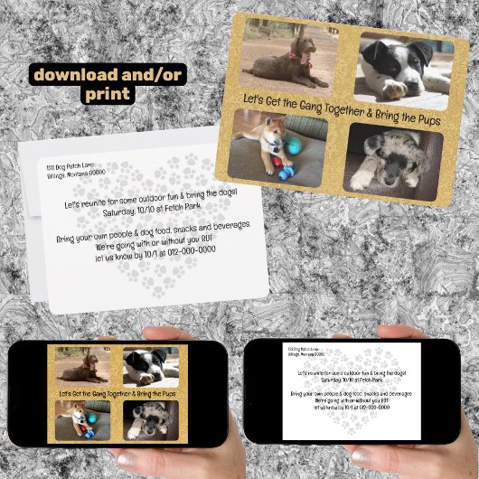 Outdoor Party Invitation Four Replaceable Photos