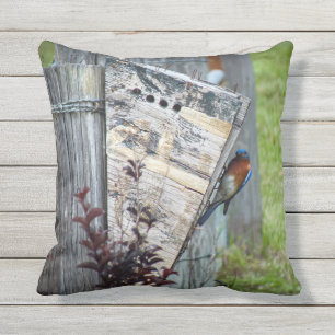 Outdoorkleding Buitenkussen