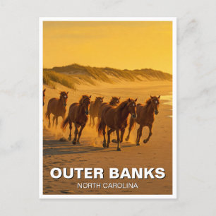 Outer Banks North Carolina Paarden Reizen Briefkaart