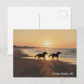 Outer Banks North Carolina Travel Briefkaart (Voorkant / Achterkant)