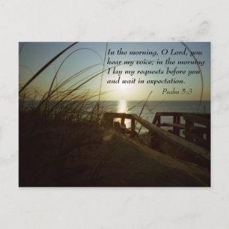 Outerbanks Morning 4 Briefkaart