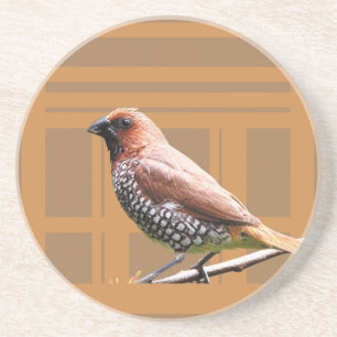 Outils Barres et Barres > Dessous de verre