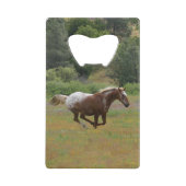 Ouverture de bouteille de la carte de crédit Appal (Devant)