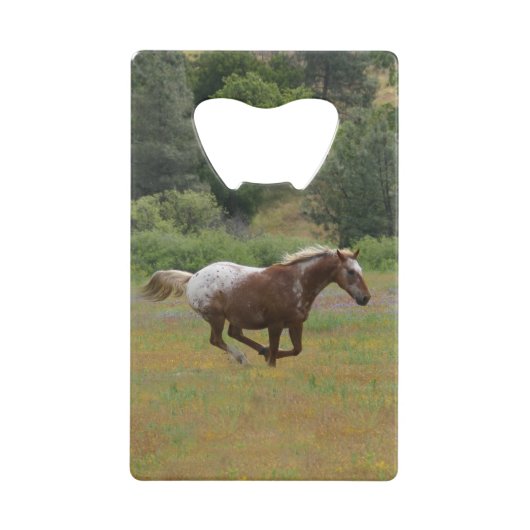 Ouverture de bouteille de la carte de crédit Appal (Devant)