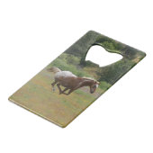 Ouverture de bouteille de la carte de crédit Appal (Devant Angle)