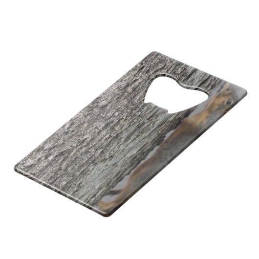 Ouverture de bouteille d'écureuil (Devant Angle)