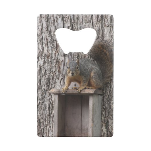 Ouverture de bouteille d'écureuil (Dos)