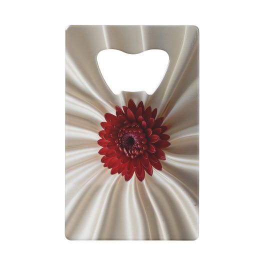 Ouverture de bouteille en acier aux couleurs japan (Devant)