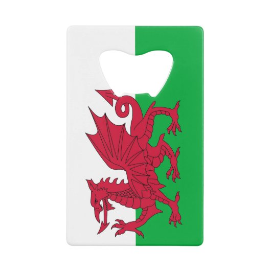 Ouverture de bouteille en acier avec drapeau du Pa (Devant)