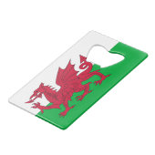 Ouverture de bouteille en acier avec drapeau du Pa (Devant Angle)