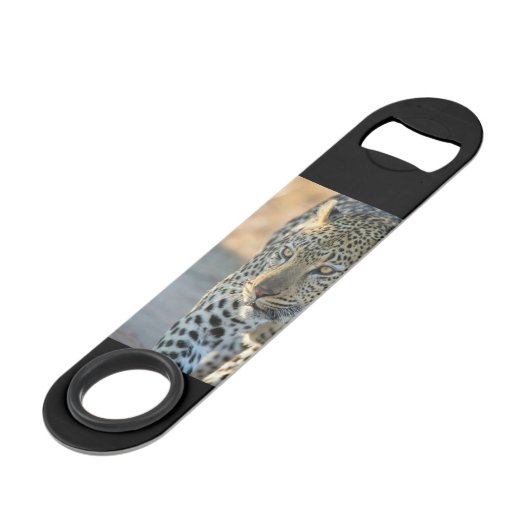 Ouverture de bouteille en acier inoxydable (Devant angulaire)