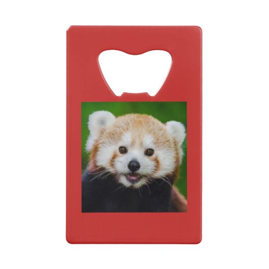 Ouverture de bouteille en acier inoxydable RED PAN (Devant)