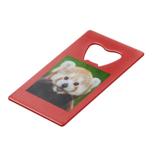 Ouverture de bouteille en acier inoxydable RED PAN (Devant Angle)