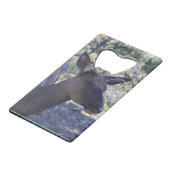 Ouverture de la bouteille d'orignal (Dos Angle)