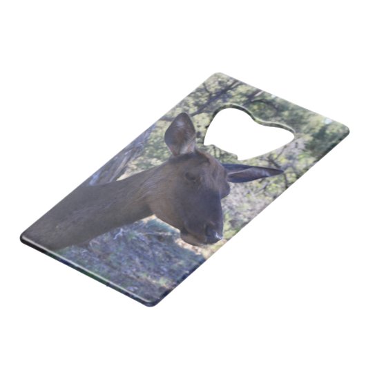 Ouverture de la bouteille d'orignal (Dos Angle)