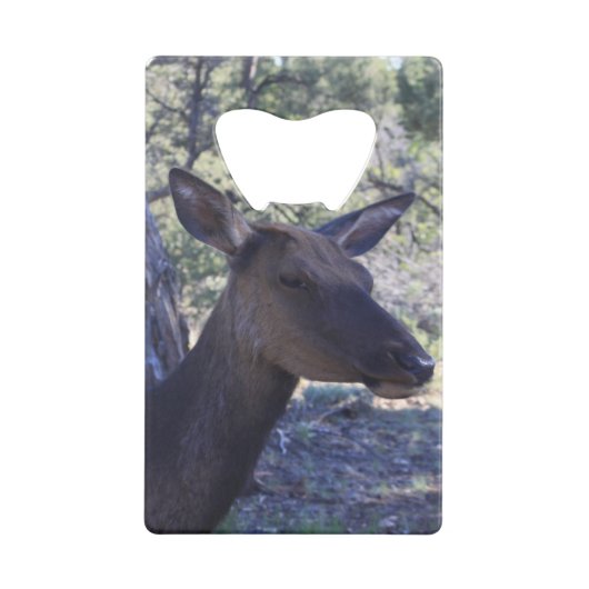 Ouverture de la bouteille d'orignal (Dos)