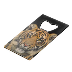 Ouverture de la bouteille en acier inoxydable 🐯 t