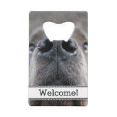 Ouverture personnelle de la bouteille de Danse (Devant)