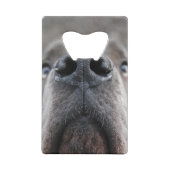 Ouverture personnelle de la bouteille de Danse (Dos)