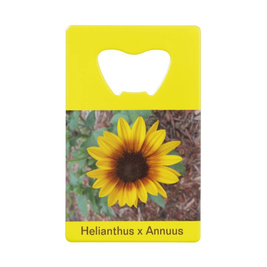 Ouvre-bouteille Helianthus Annuus (Devant)