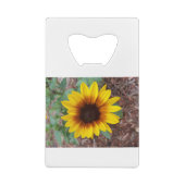 Ouvre-bouteille Helianthus Annuus (Dos)