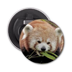 ouvre-bouteille Panda rouge photo, animaux 0104.