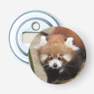 ouvre-bouteille Panda rouge photo, animaux 0108.